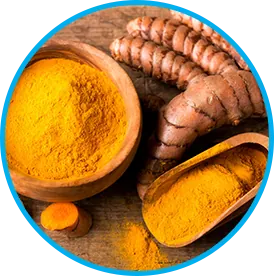Himalayan turmeric root and powder in the Venus Factor formula